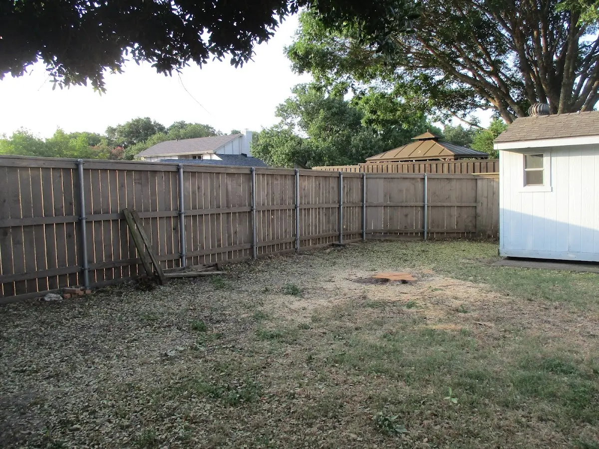 Cleared yard after professional tree removal in White Bluff
