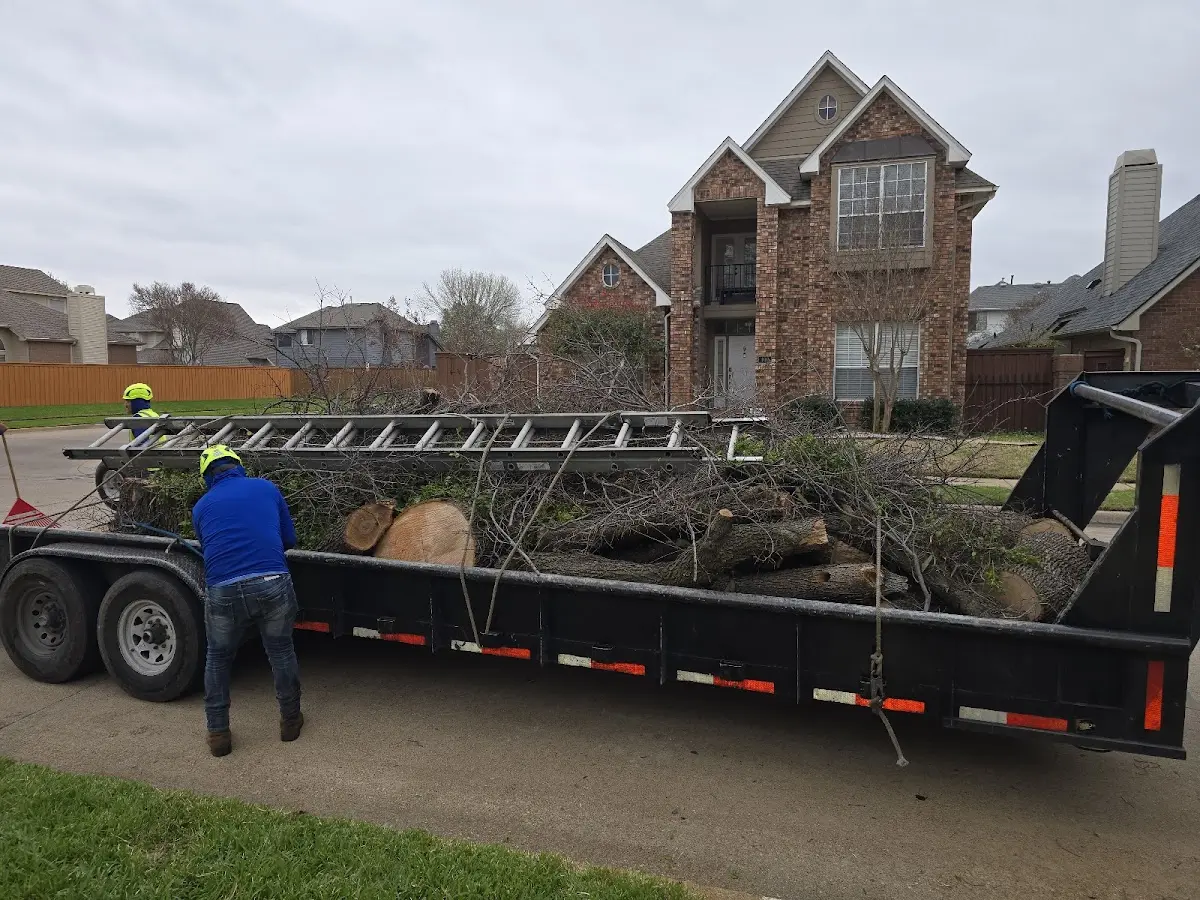Expert Lot Clearing with proper safety equipment in White Bluff